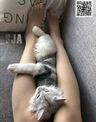 日本模特av女优_BD韩语高清免费观看